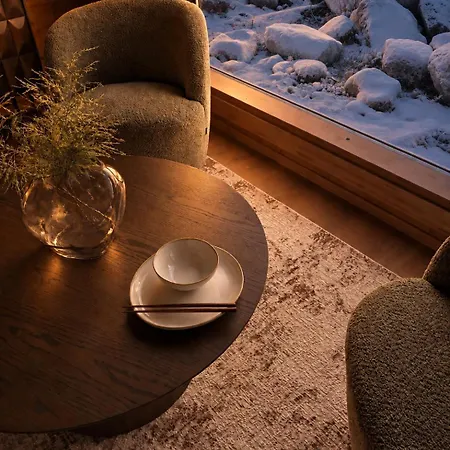 Cozy Nordic 13b - Ailo *