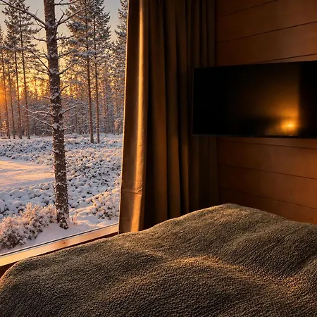 Cozy Nordic 13b - Ailo